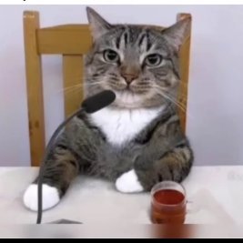 anony0014's profile picture. I am not schizophrenic this is my personal diary