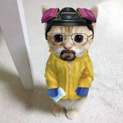 saymyname_Bahar's profile picture. ملقب به هایزنبرگ🥸