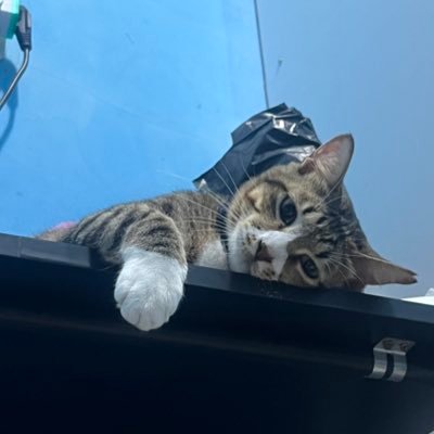 mycrowaft's profile picture. Alhamdulillah kita semua masih ngerasain capek