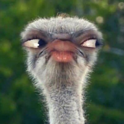 br3tuo_II's profile picture. 