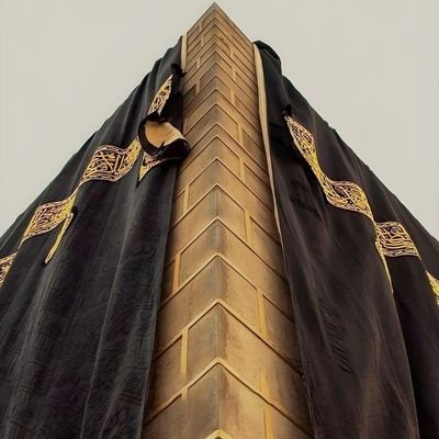 RoMa35365864's profile picture. 🍒
I _ M _ M