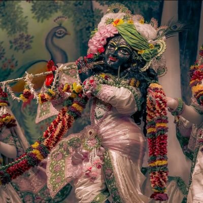 Pranjaleev_2's profile picture. 