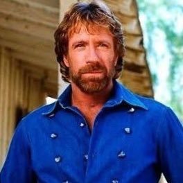 chuck_norris_01's profile picture. Just me and my private life