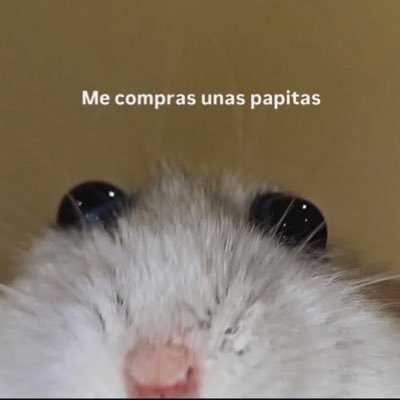 abby_hr_'s profile picture. • 𝑄𝑢𝑒́ 𝑡𝑜𝑑𝑜 𝑓𝑙𝑢𝑦𝑎 𝑦 𝑛𝑎𝑑𝑎 𝑖𝑛𝑓𝑙𝑢𝑦𝑎 • 𝑖𝑝𝑛 𝑒𝑠𝑒𝑜 •