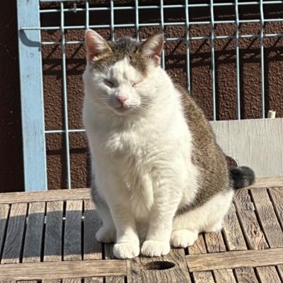 gard54d2's profile picture. I post about destiny and stuff - professional raid wiper

gregaholic