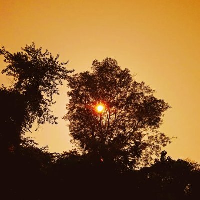 heenaOnly's profile picture. 