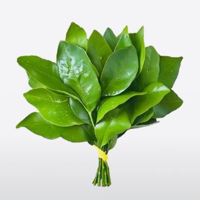 B9IWenwE1v9168's profile picture. 