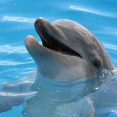 tanakaso's profile picture. 