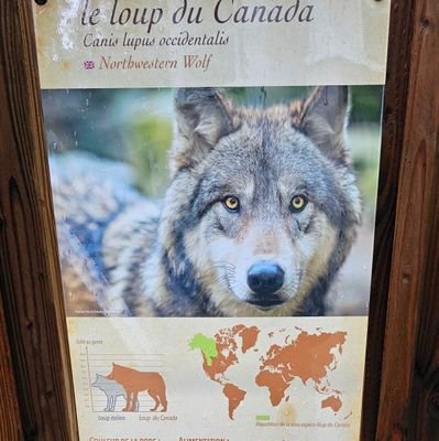 SylvieS77085290's profile picture. Aime les animaux, de droite, soutien fdo