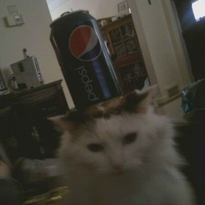 k4luk's profile picture. drums / 20