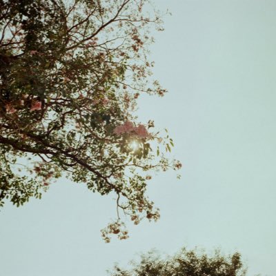 Whtfck87's profile picture. เจอแต่อะไรก็ไม่รู้🤣