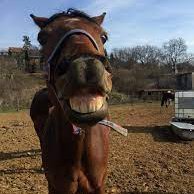 capplyxfn's profile picture. 5k pr 300earned
15yo