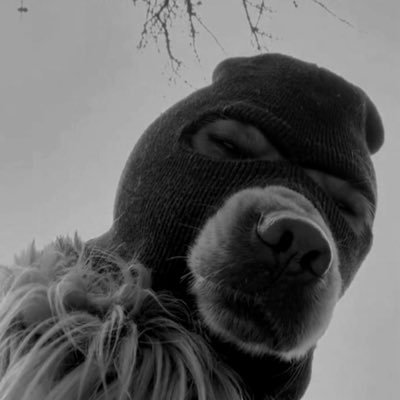 cheirosaah's profile picture. Jesus o plano perfeito 💙 🌻