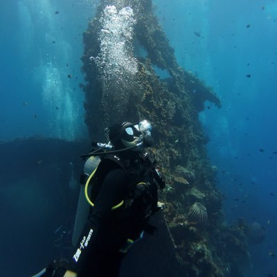 mediocratic_'s profile picture. 