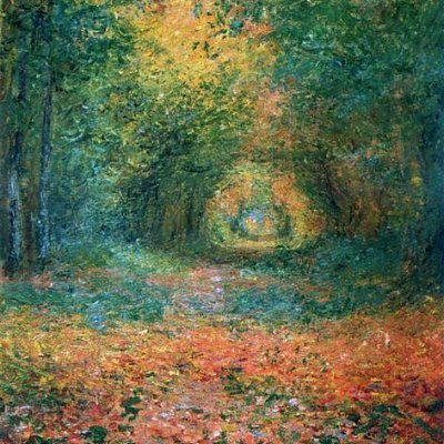 CKH881's profile picture. A flying squirrel is living in my walls.