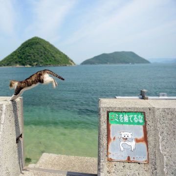 blaacccky's profile picture. بكسر الحلقة