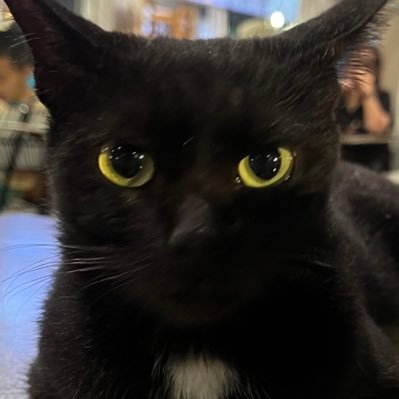 prifreya's profile picture. sharing things is caring, but you are not a thing