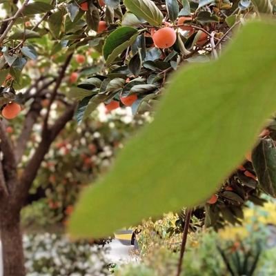 datahave1691631's profile picture. 