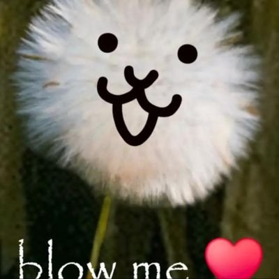 Amblypygi42's profile picture. Waffles