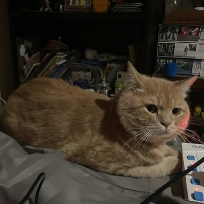 hosoi_2801's profile picture. 