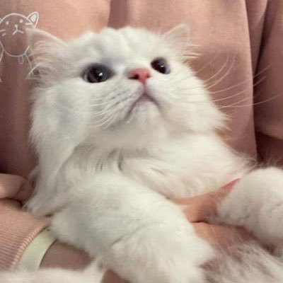 LaylayMzWWE's profile picture. esfp 20 恋愛モンスター！