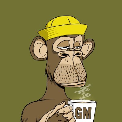 eh_jay_ell's profile picture. my other one got suspended because elon is a bitch

bayc 5439