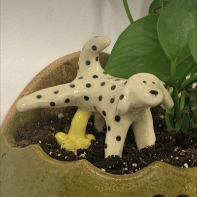 yesgreendoor's profile picture. energy doesn’t lie