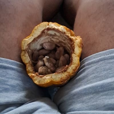 day_amazonico26's profile picture. amigos