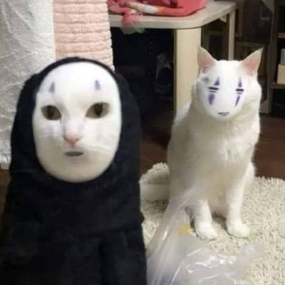 qjfa466e's profile picture. 초보야핑러 / 리버단 / 바로 맞팔/ 소통 ㄱㄱㄱㄱㄱ