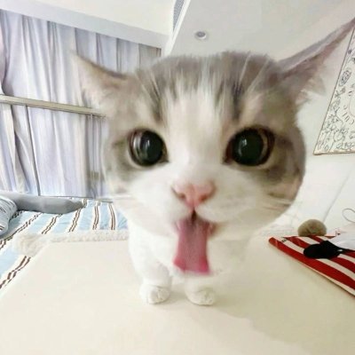 jgfdkjgkfdjgkfd's profile picture. 