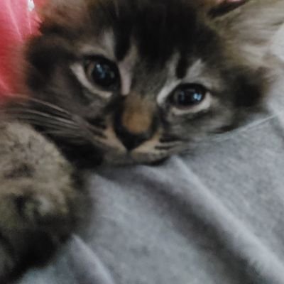 Bienevolent's profile picture. Lost in the rhythm of the stars, I wander in wonder.