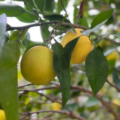 turkintikam07's profile picture. 