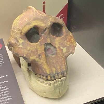 CosmicShelters's profile picture. Life never smiles at you.  It only smiles back.