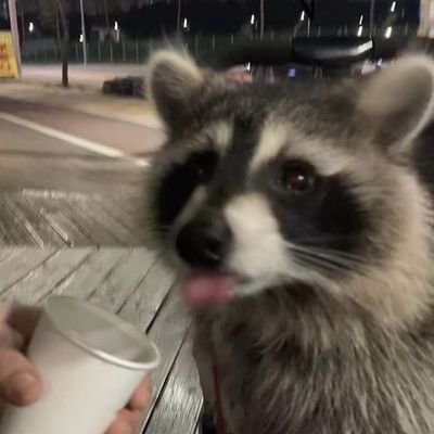 Jadefoundheaven's profile picture. - gw: 35kg