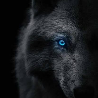 Zafer0ZDAG's profile picture. -TÜRK'üm Ben-                                                          

Varlığım TÜRK varlığına armağan olsun.