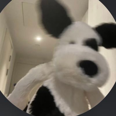Rn_757's profile picture. JC2 B型 ENFP Japan🫶 REALITYしてます
