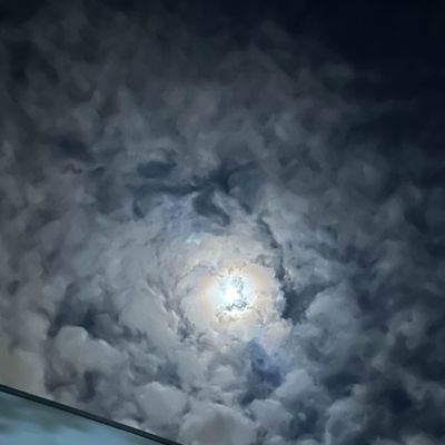 Phoenix6892's profile picture. 🍦