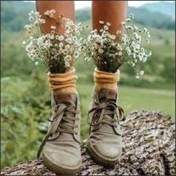 grifosonde72782's profile picture. 🌤 Forever vibin’.