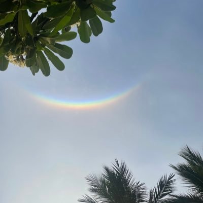 ln__6x's profile picture. الحمدلله🤍