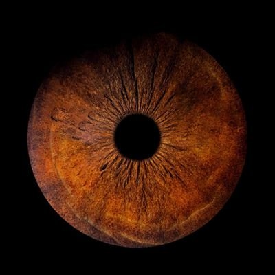 GrokTempo's profile picture. 