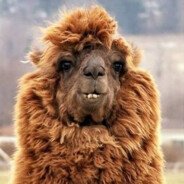 t0biCS's profile picture. 24 | Certified Bottom Fragger and FaceIT Grinder | 🇦🇹 | https://t.co/LMnUA7kRum