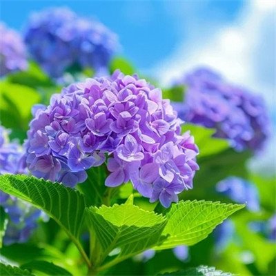 Lindaokblc's profile picture. Courage is not the absence of fear, but rather the judgment that something else is more important than fear.