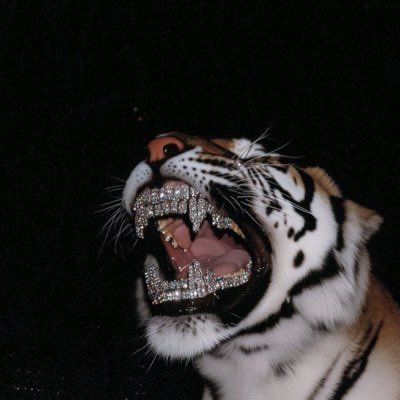 Edipzturk's profile picture. 