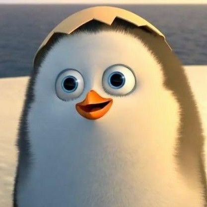 jkisbunny_'s profile picture. ชงเกย์ไปวันๆ | BTS | EN | 
#freakแปกแจกตัง #รีวิวของfreak