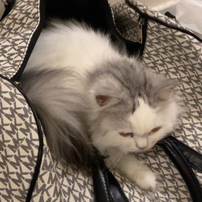 ff_56x's profile picture. 