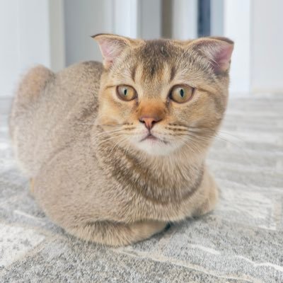 mhmetdogan_'s profile picture. 