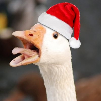 goodgoosego's profile picture. goose