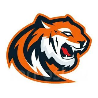 TinaLorenz47761's profile picture. 