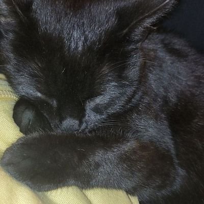 brianabdillahh's profile picture. cuma ngetik...