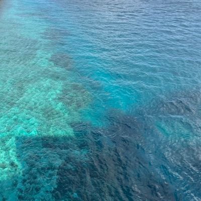 jyoMPhashe98904's profile picture. ＾、＾；